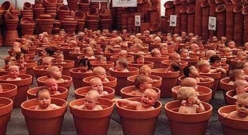 So+thats+where+babies+come+from_0f79c4_3162419.jpg